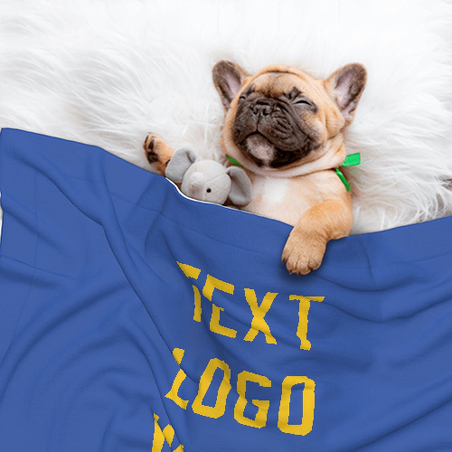 Coperta personalizzata per animali domestici color azzurro cielo e oro