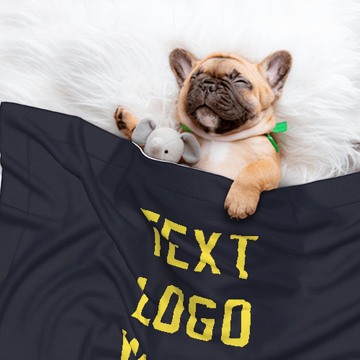 Coperta personalizzata per animali domestici color acciaio blu pallido giallo